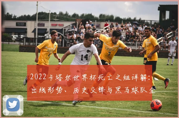 2022卡塔尔世界杯死亡之组详解：出线形势、历史交锋与黑马球队全预测